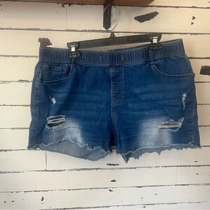 Denim Frayed Hem Pull-On Shorts - Blue. Women’s Plus Size 2XL.